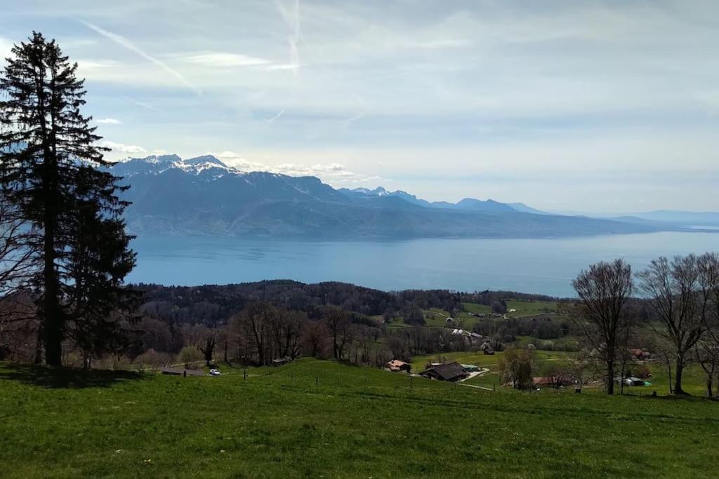 T2 Ideal Pour Famille Apartment Thollon-les-Memises